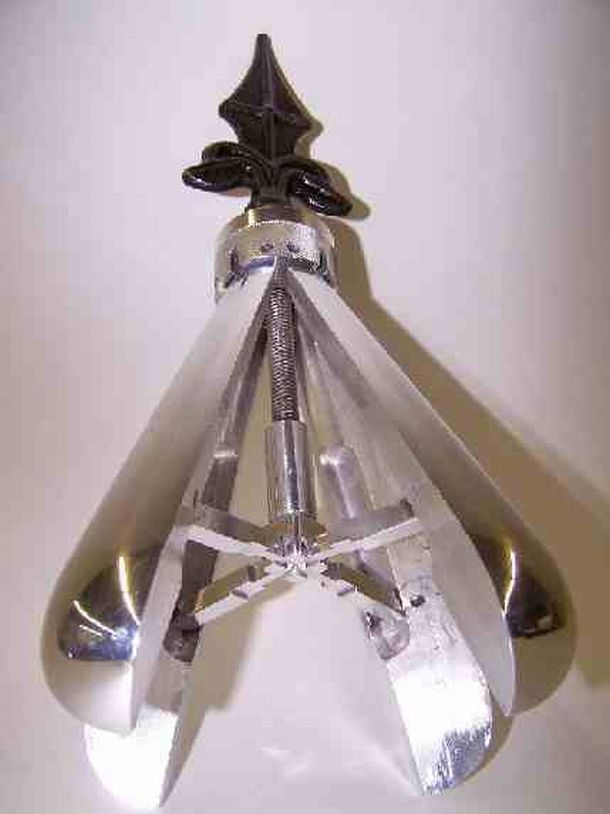pear_4