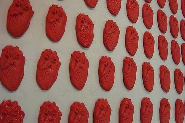 human heart art. a real human heart with