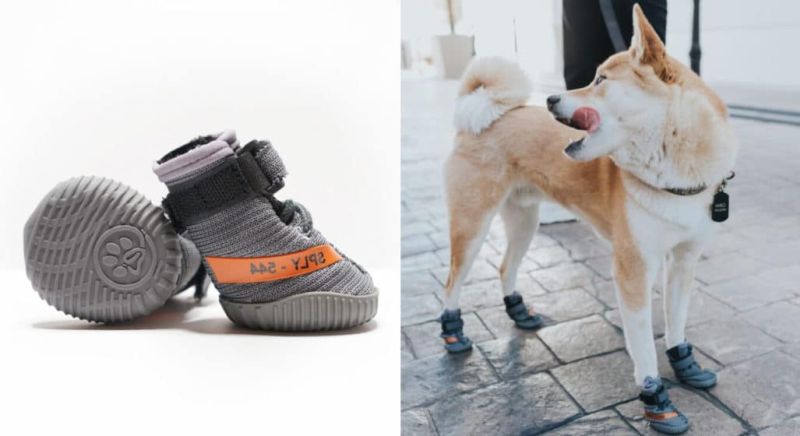 Yeezy-inspired dog shoes by Fresh Pawz